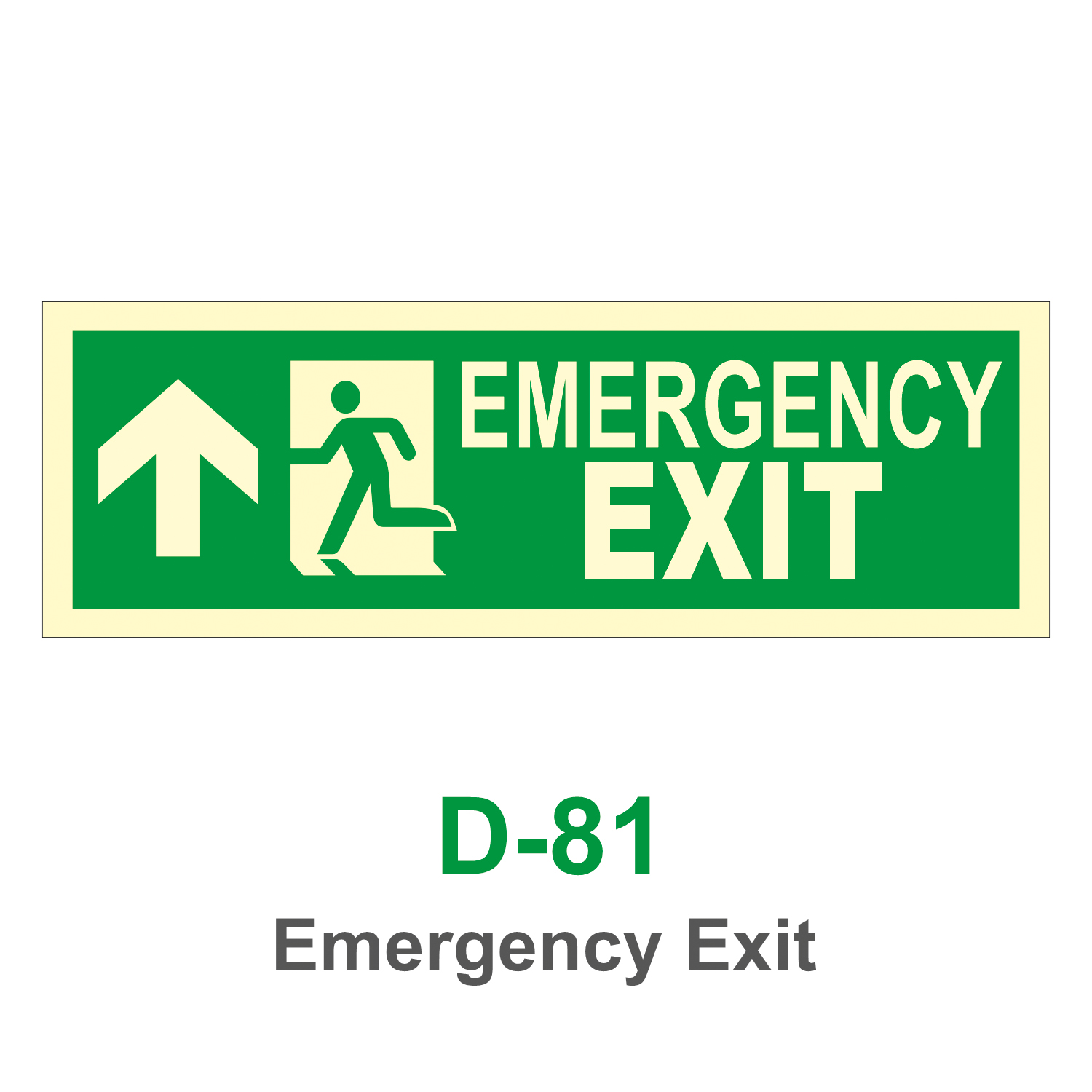 D-81_Emergency Exit_Signage