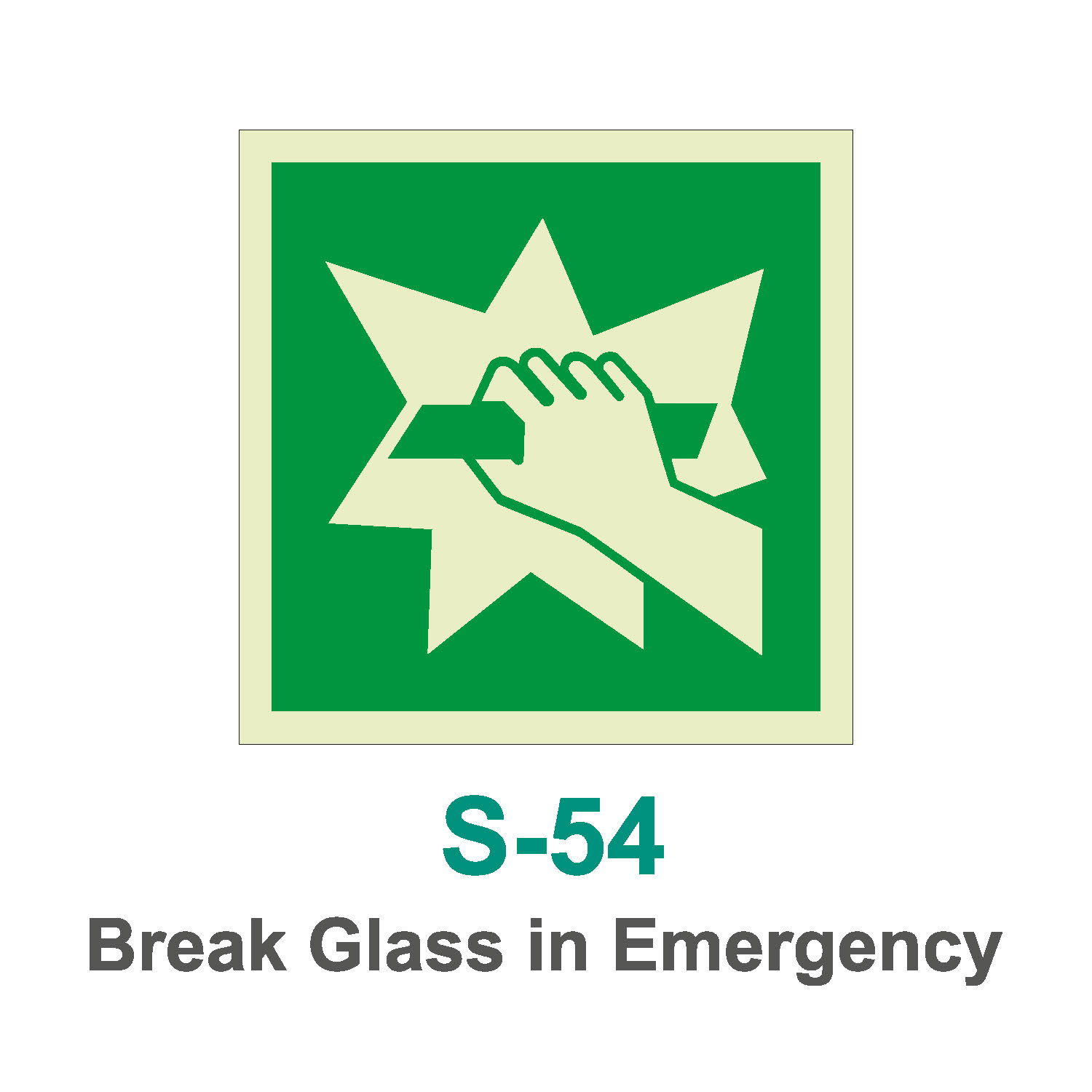 S-54_Break Glass in Emergency_Signage