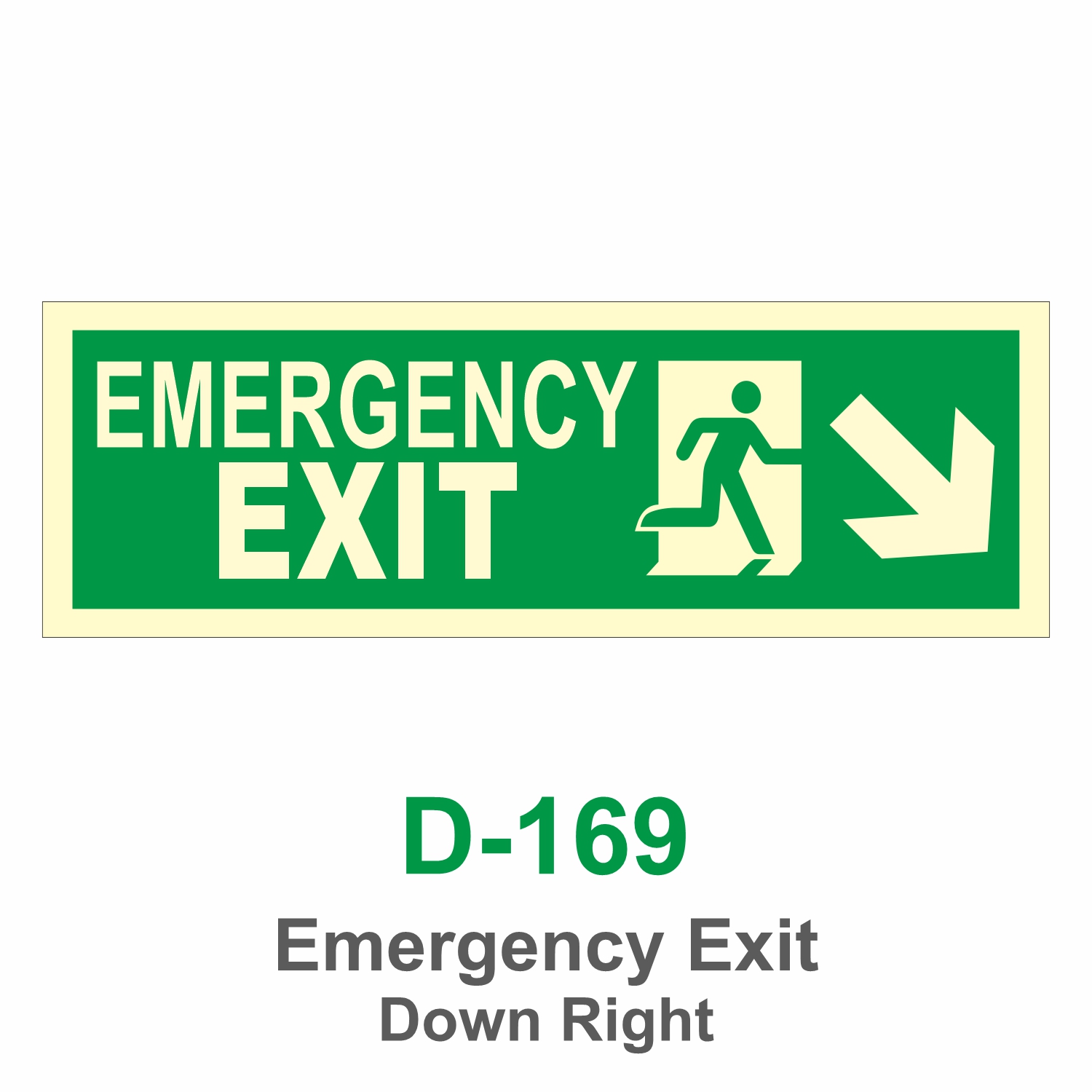 D-169_Emergency Exit Down Left_Signage